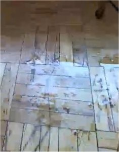 Chaturbate cam babe squirts so much she covers the floor in fluids